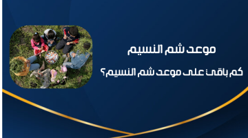 Sham El Nessim